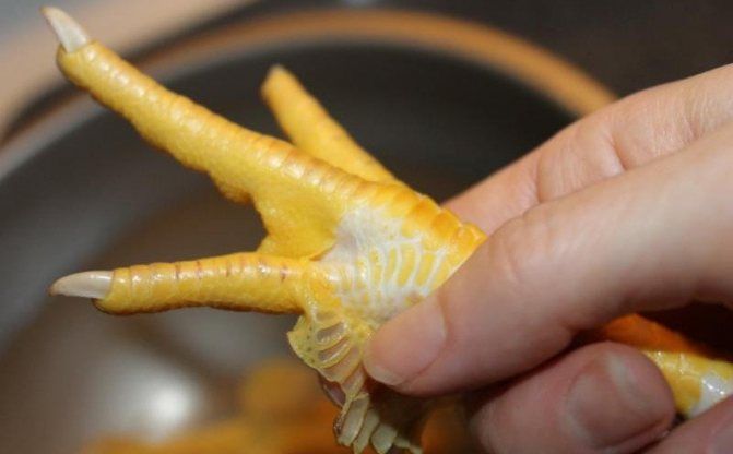 Neočišćene pileće nogice, pakovanje 500 g (cena za 1 kg 300 rub.)